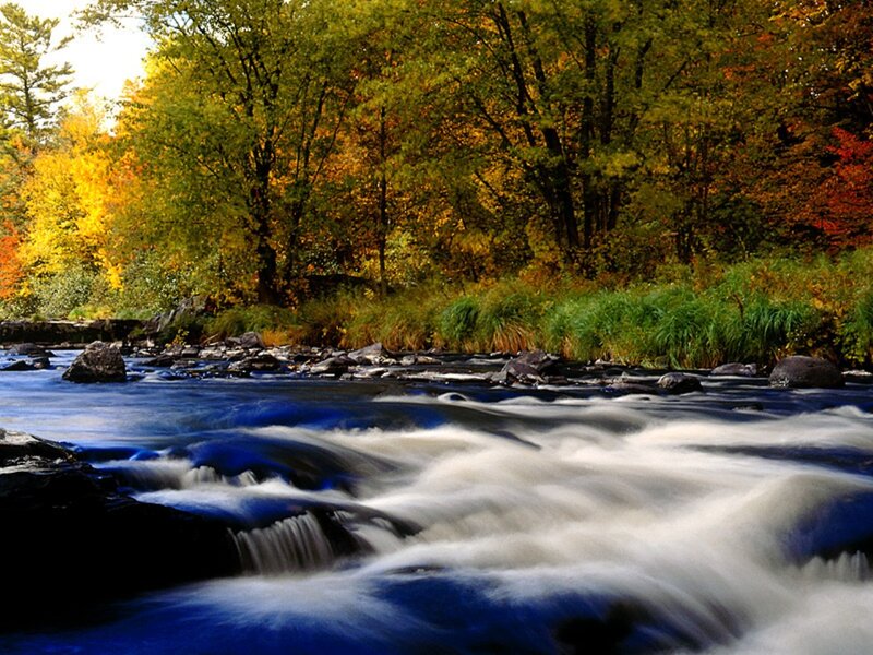 River Flowing Through Forest — Blue, Serene, Autumn, Photograph, Trees