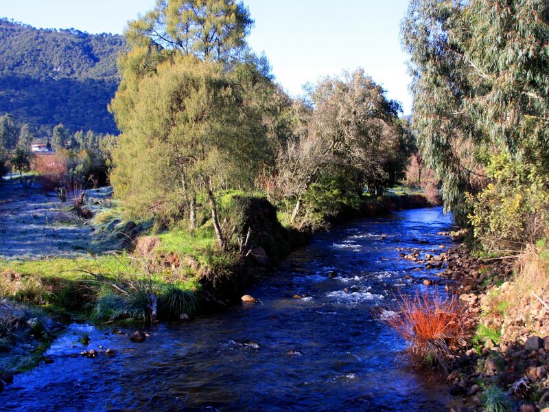 River Flowing Through Forest — Blue, Serene, Morning, Photograph, Trees, Mountain