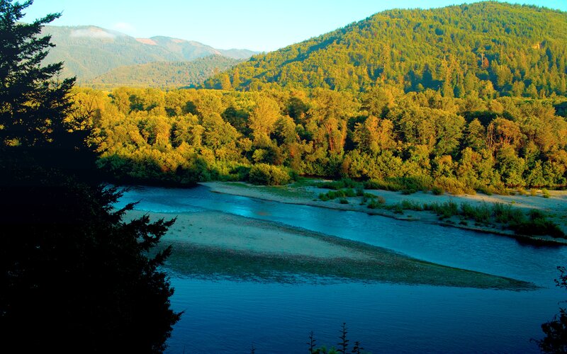 River Flowing Through Forest — Blue, Serene, Morning