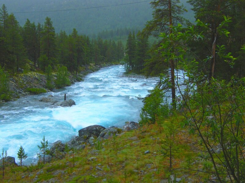 River Flowing Through Forest — Blue, Serene, Photograph, Trees, Rocks