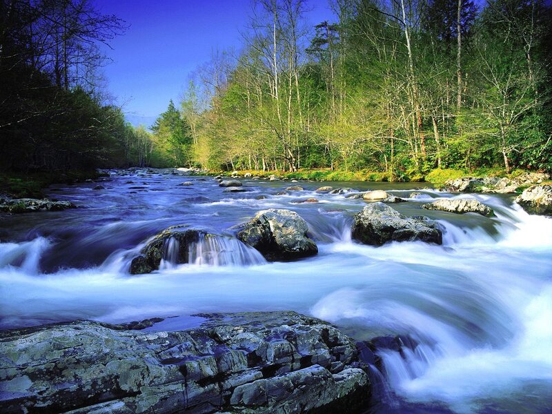 River Flowing Through Forest — Blue, Serene, Spring, Photograph, Rocks