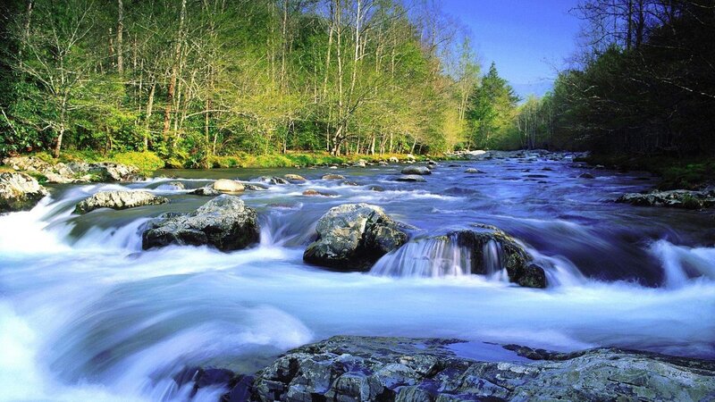 River Flowing Through Forest — Blue, Serene, Spring, Photograph