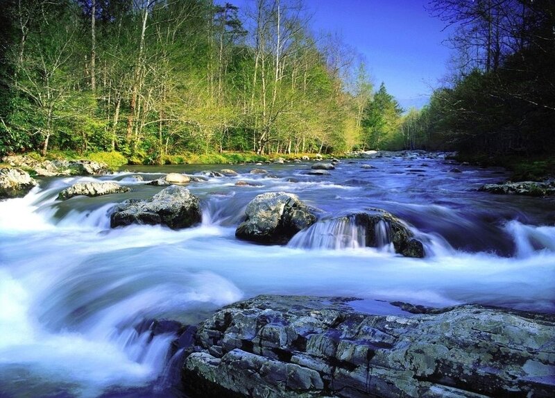 River Flowing Through Forest — Blue, Serene, Spring