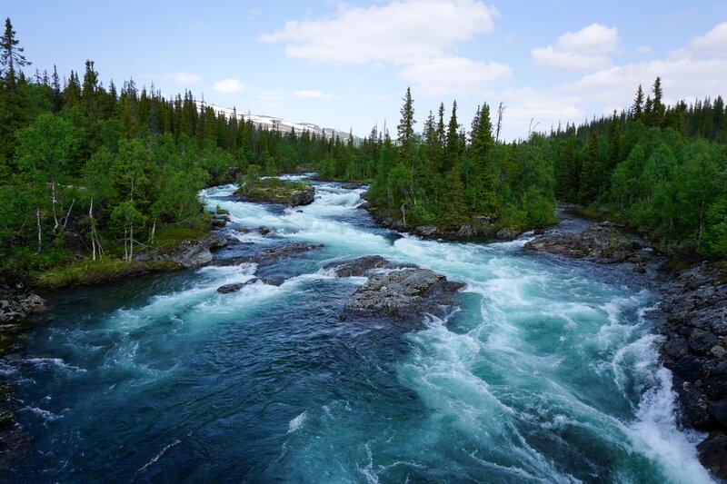 River Flowing Through Forest — Blue, Serene, Summer