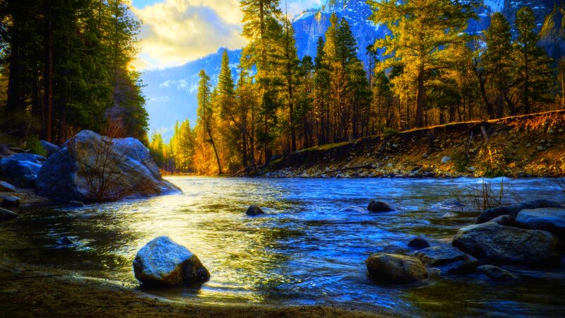 River Flowing Through Forest — Blue, Serene, Sunset