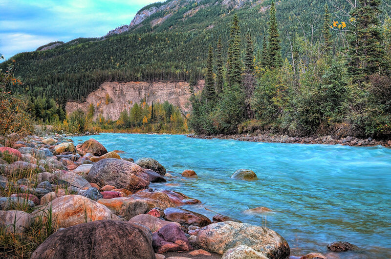 River Flowing Through Forest — Blue, Serene