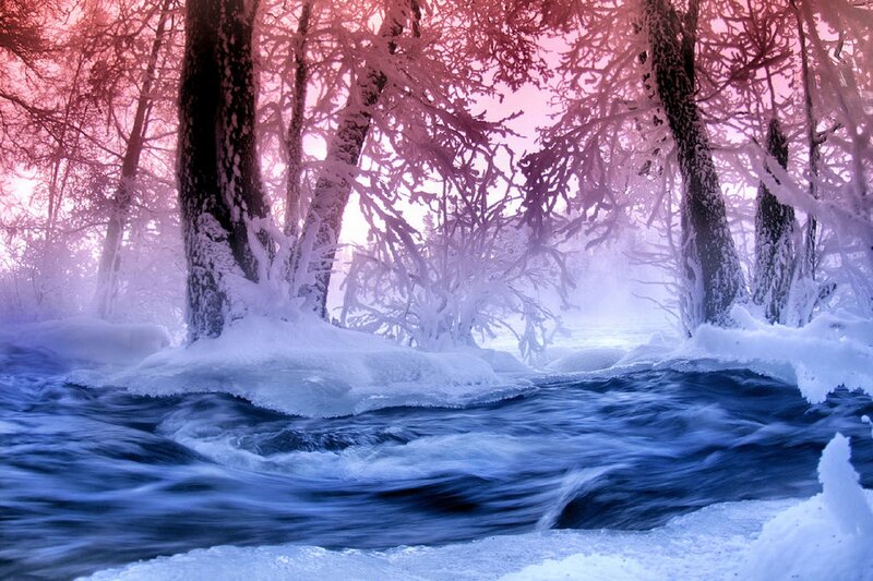 River Flowing Through Forest — Blue, Serene, Winter, Photograph, Trees, Snow