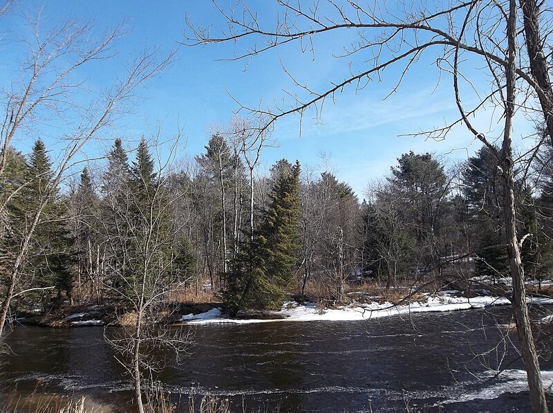 River Flowing Through Forest — Blue, Serene, Winter, Photograph, Trees