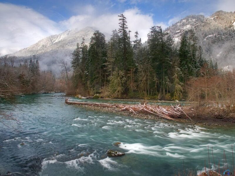 River Flowing Through Forest — Blue, Serene, Winter