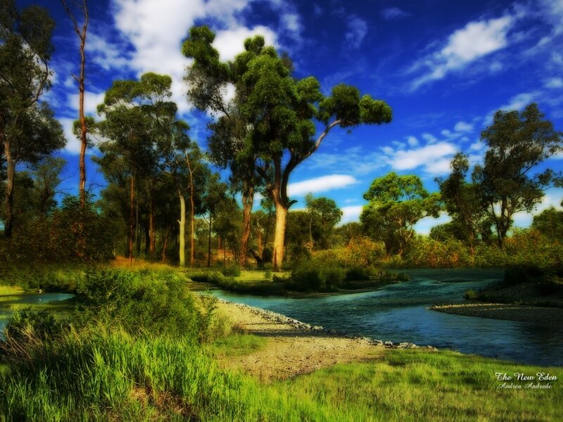 River Flowing Through Forest — Blue, Sky