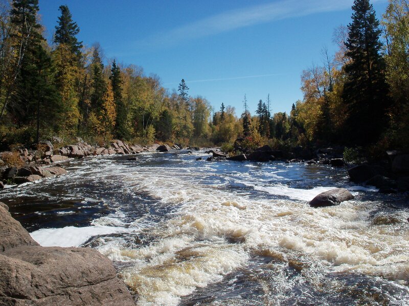 River Flowing Through Forest — Blue