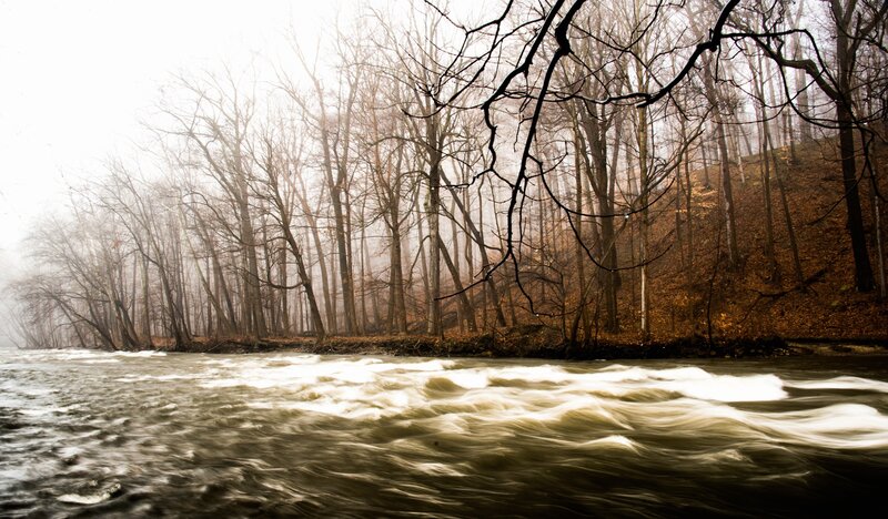 River Flowing Through Forest — Brown, Misty