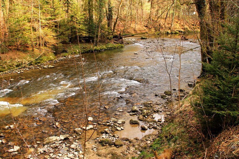 River Flowing Through Forest — Brown, Serene, Autumn
