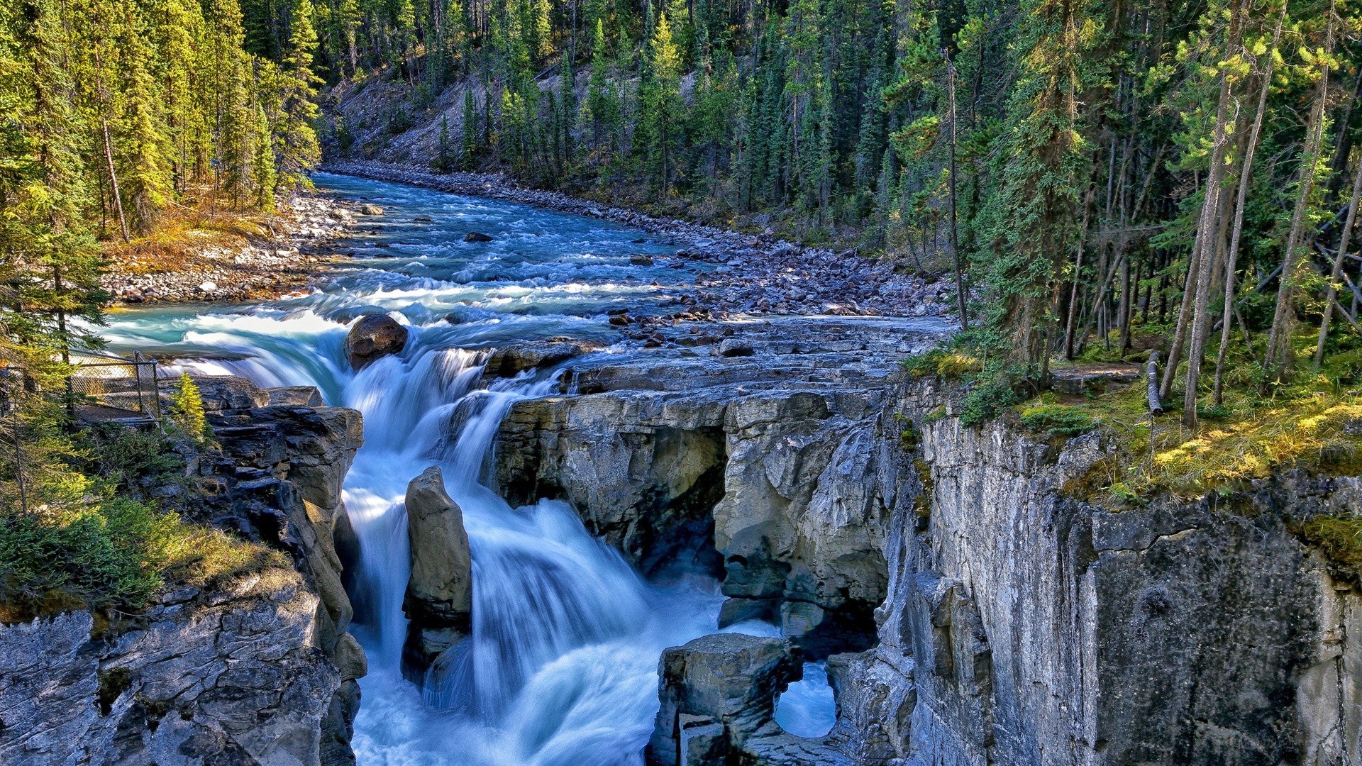 river flowing through forest canyon