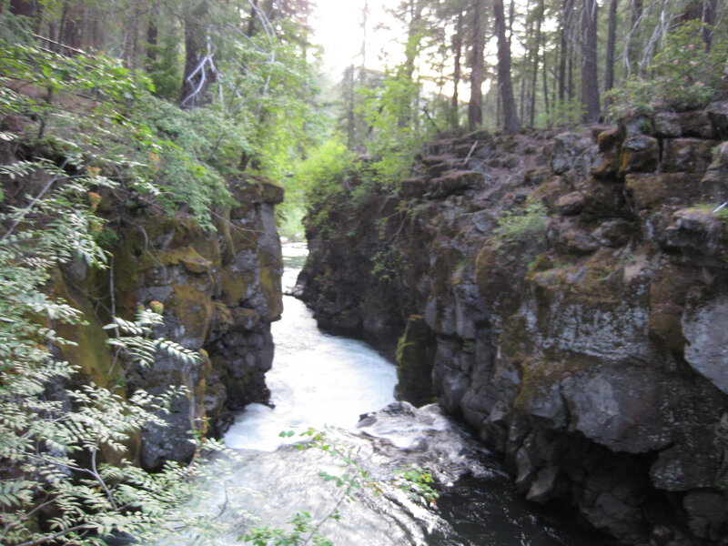 river flowing through forest canyon