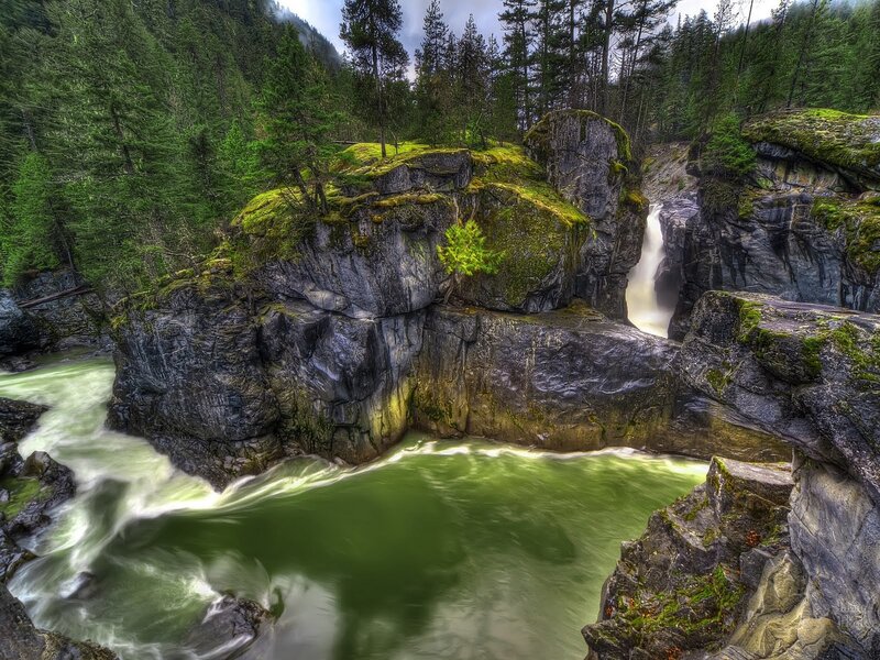 river flowing through forest canyon