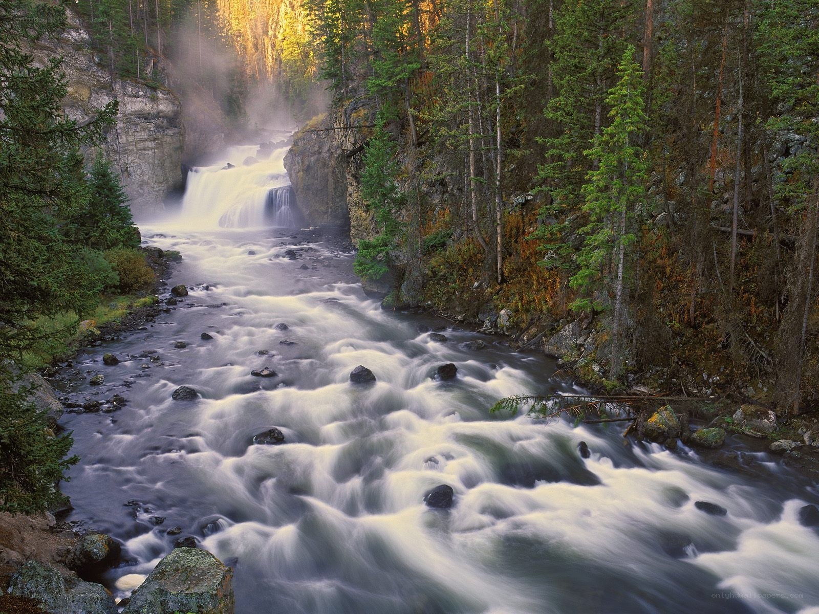 River flowing through forest canyon