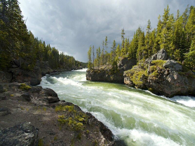 river flowing through forest canyon