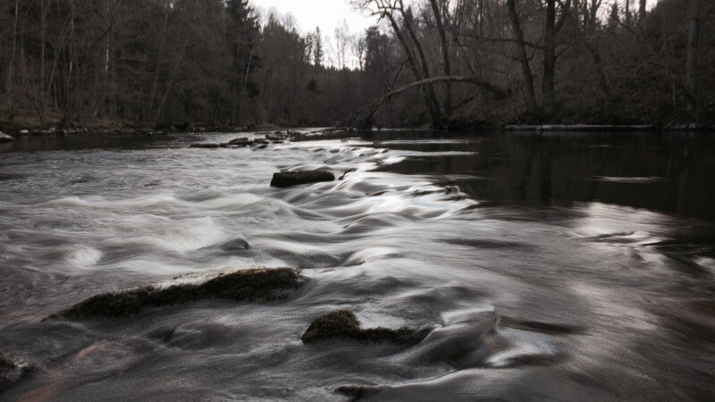 River Flowing Through Forest — Gray, Calm