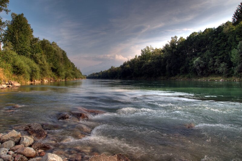 River Flowing Through Forest — Green, Afternoon