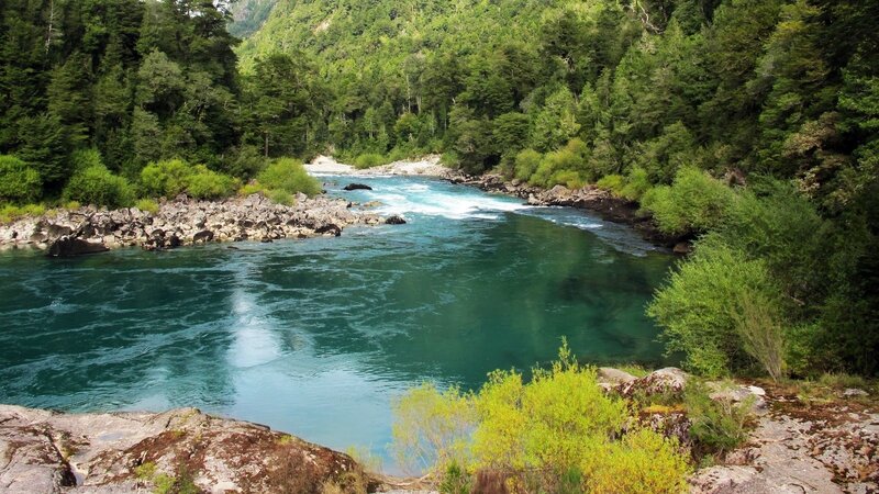 River Flowing Through Forest — Green, Blue