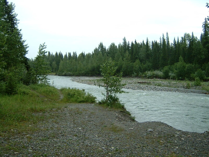 River Flowing Through Forest — Green, Calm, Afternoon