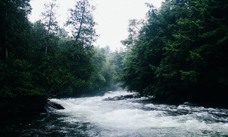 River Flowing Through Forest — Green, Calm, Photograph, Trees, Rocks