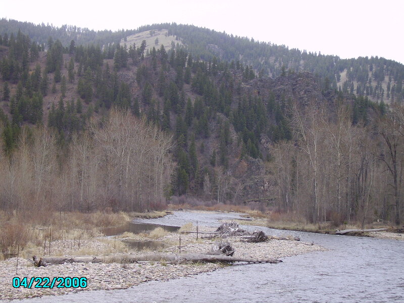 River Flowing Through Forest — Green, Calm, Spring, Photograph