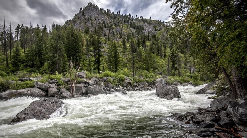 River Flowing Through Forest — Green, Dramatic, Afternoon, Photograph, Mountain