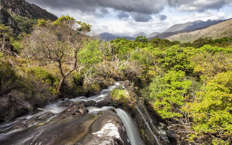 River Flowing Through Forest — Green, Dramatic, Afternoon, Photograph, Trees, Mountains, Rocks