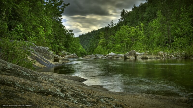 River Flowing Through Forest — Green, Dramatic, Afternoon, Photograph, Trees, Rocks, Clouds