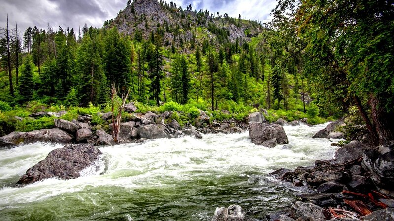 River Flowing Through Forest — Green, Dramatic, Afternoon, Photograph, Trees, Rocks, Mountain