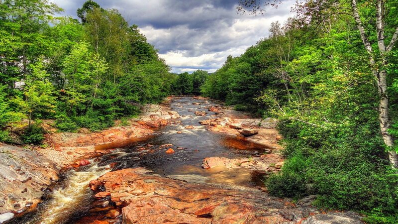 River Flowing Through Forest — Green, Dramatic, Afternoon, Photograph, Trees, Rocks, Sky