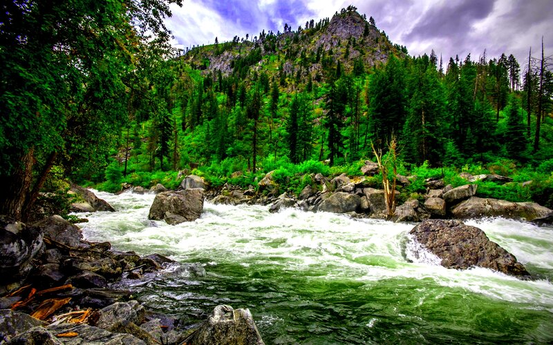 River Flowing Through Forest — Green, Dramatic, Afternoon, Photograph, Trees, Rocks