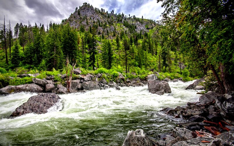 River Flowing Through Forest — Green, Dramatic, Afternoon, Photograph, Trees