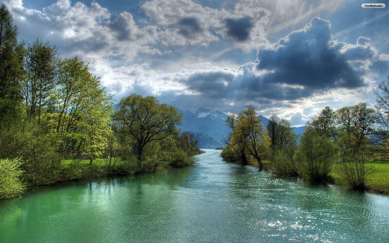 River Flowing Through Forest — Green, Dramatic, Afternoon