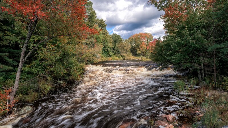 River Flowing Through Forest — Green, Dramatic, Autumn, Photograph, Trees
