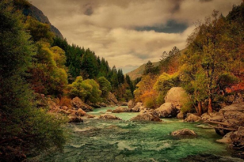 River Flowing Through Forest — Green, Dramatic, Autumn