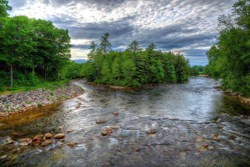 River Flowing Through Forest — Green, Dramatic, Morning