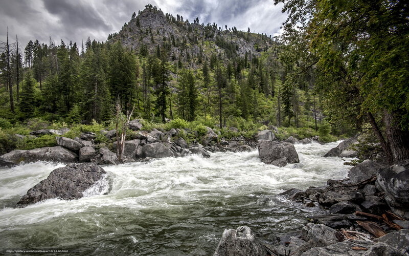 River Flowing Through Forest — Green, Dramatic, Photograph, Mountain