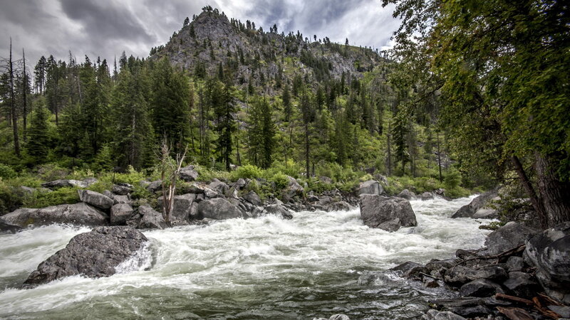 River Flowing Through Forest — Green, Dramatic, Photograph
