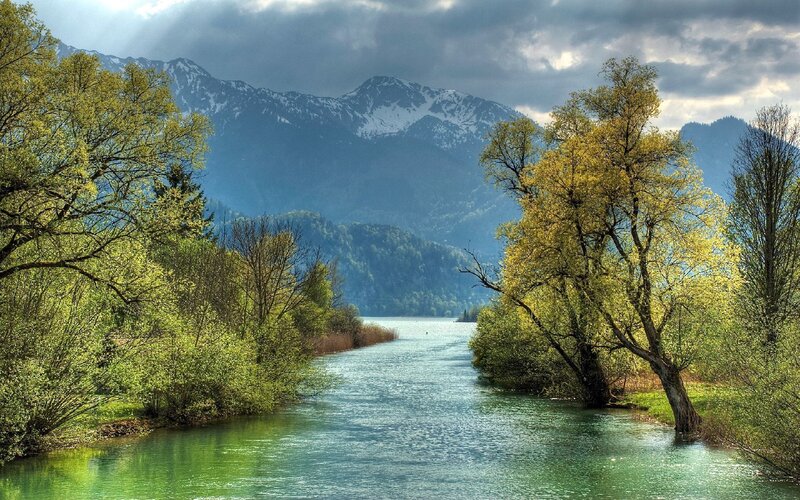 River Flowing Through Forest — Green, Dramatic, Spring, Photograph