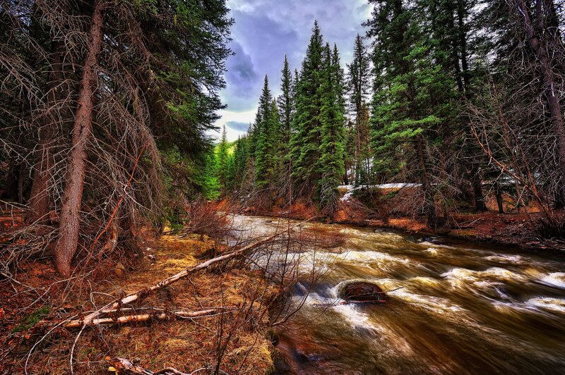 River Flowing Through Forest — Green, Dramatic, Spring