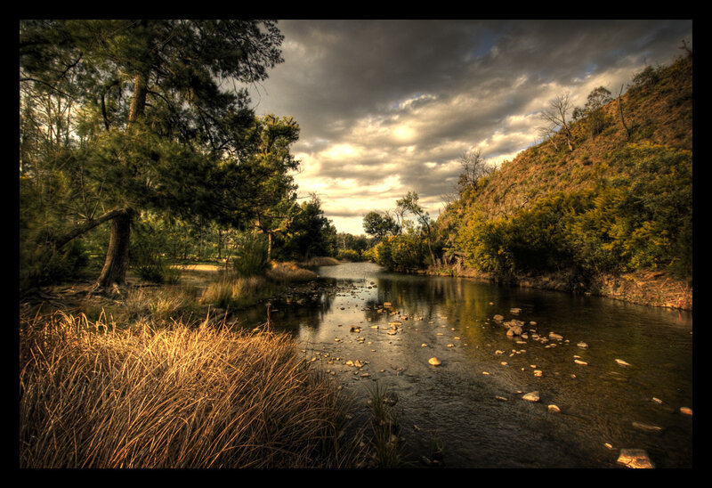 River Flowing Through Forest — Green, Dramatic