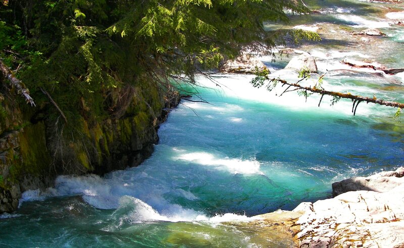 River Flowing Through Forest — Green, Dynamic, Afternoon