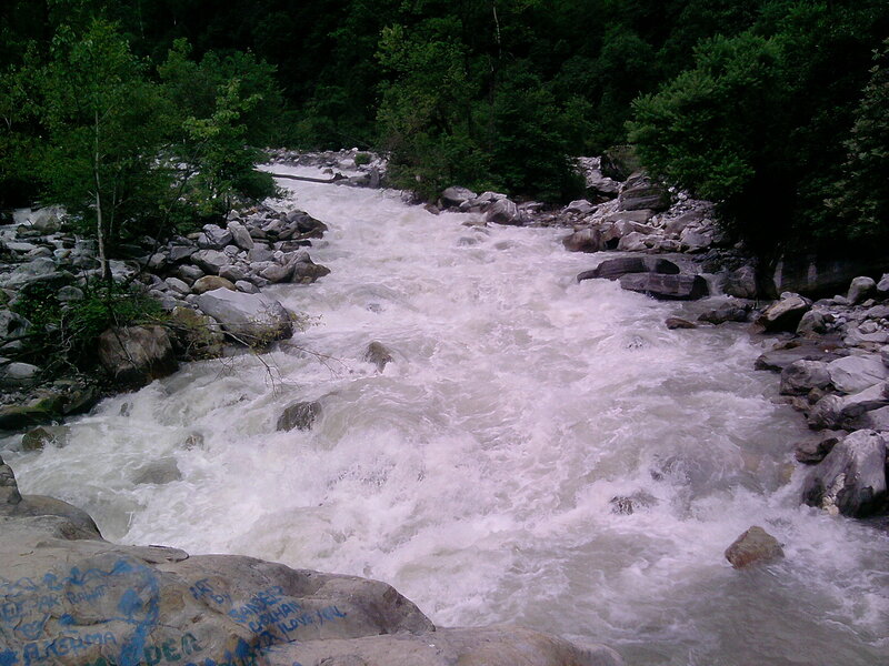 River Flowing Through Forest — Green, Dynamic