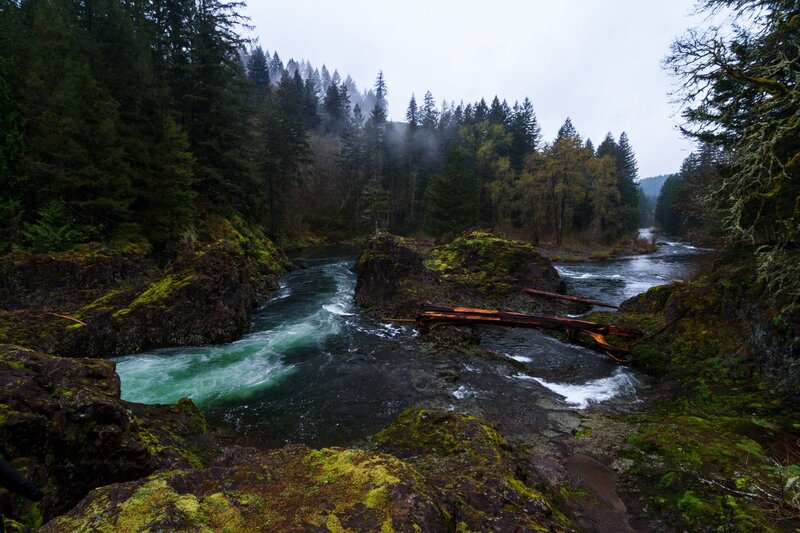 River Flowing Through Forest — Green, Moody