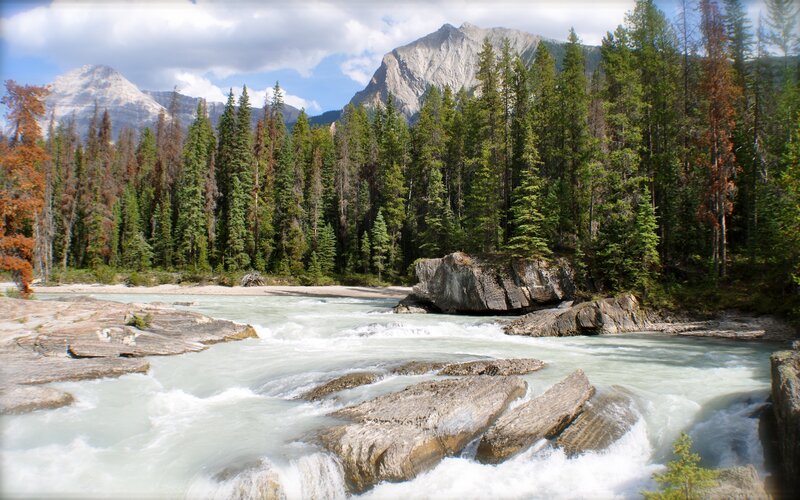 River Flowing Through Forest — Green, Mountains