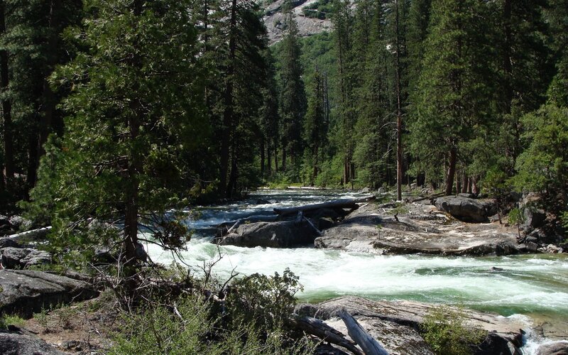 River Flowing Through Forest — Green, Natural, Afternoon, Photograph, Trees, Rocks, Fallen Log, Brown