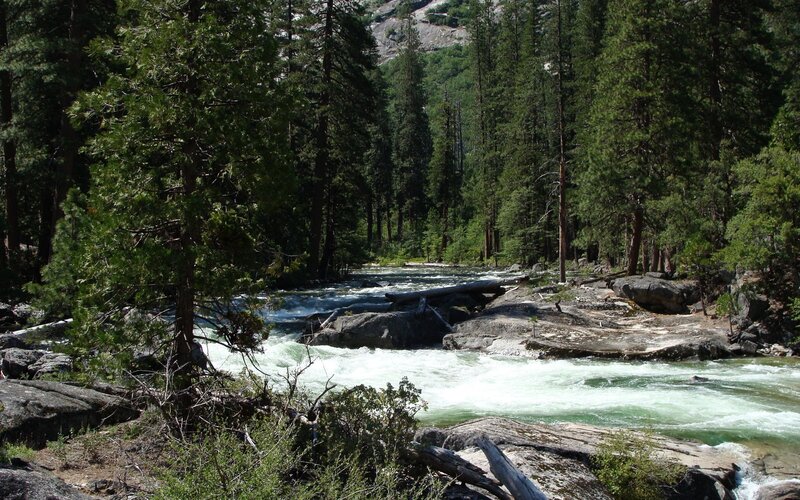 River Flowing Through Forest — Green, Natural, Afternoon, Photograph, Trees, Rocks, Fallen Log, Brown, White